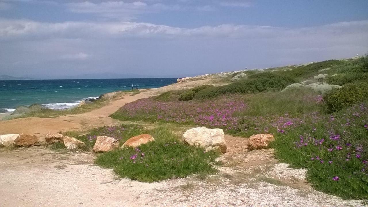 Апартаменти Nireos Proteos 20 Рафіна Екстер'єр фото